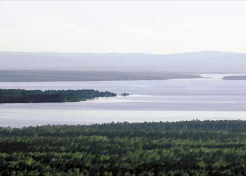 Ytterdörrar med tradition från Siljansbygdens skogar